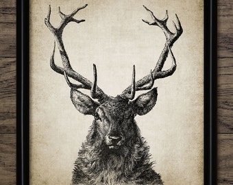 Stag Wall Art, Printable Stag Drawing, Buck Deer Antler, Fall Forest Animal, Autumn Woodland Deer, Deer Hunting #924 INSTANT DOWNLOAD