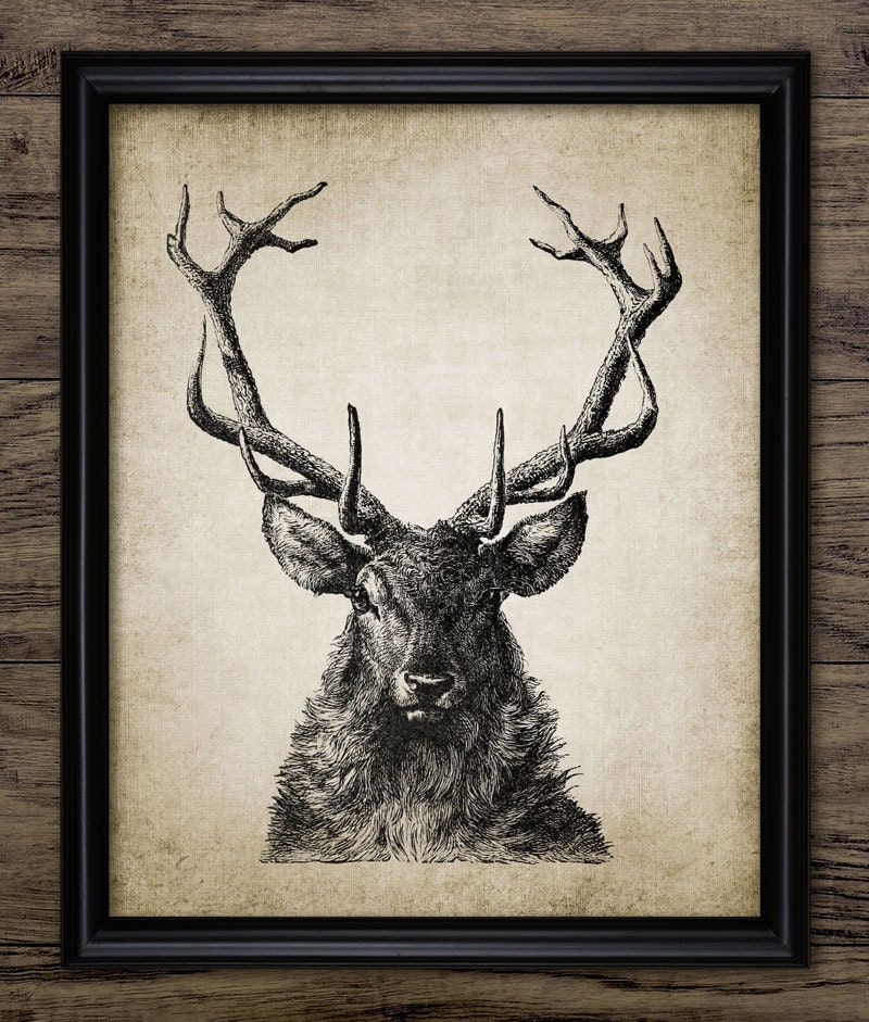 Woodland Animal, Antler, Stag Fall Buck DOWNLOAD - Hunting Deer Wall Forest Art, Deer Drawing, 924 INSTANT Deer, Printable Autumn Stag Etsy