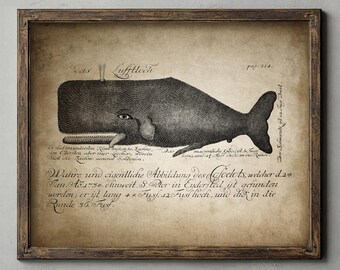 Antique Sperm Whale Print, Bathroom Decor, Marine Wall Art, Vintage Whale Illustration, Shabby Chic Beach House Artwork