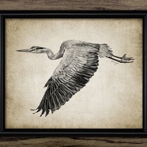 Heron Art Print, Printable Heron, Heron Bird Wall Art, Living Room Decor, Fishing Bird, Freshwater Bird Art Drawing #3819 INSTANT DOWNLOAD