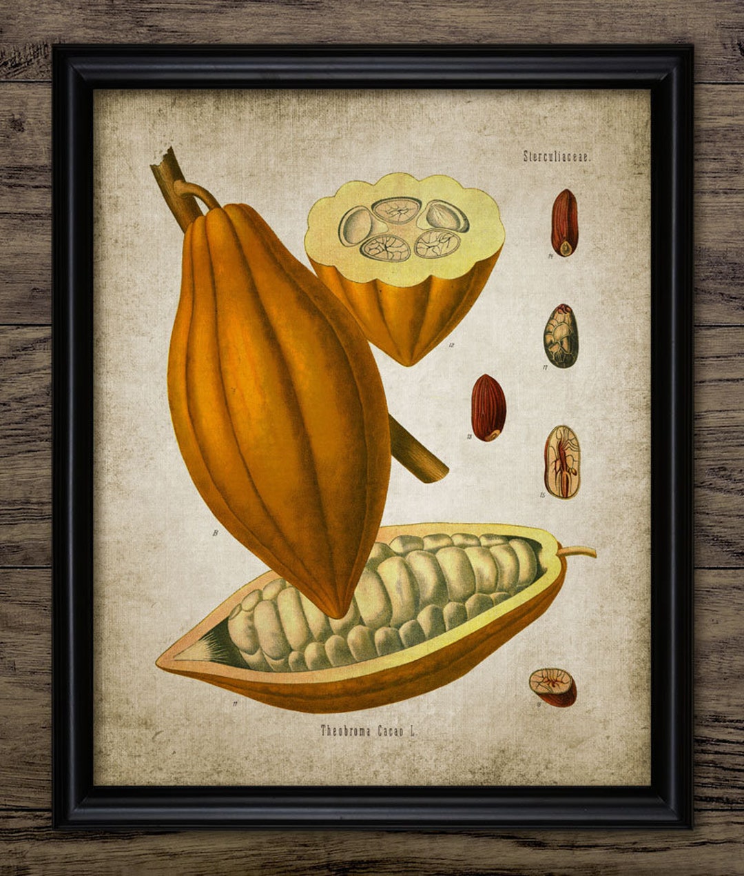 Cocoa Wall Art, Printable Cocoa, Rustic Farmhouse Kitchen Decor, Vintage Botanical, Cocoa ...