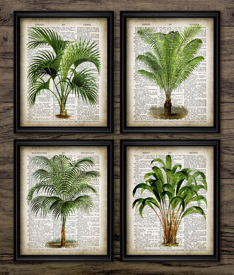 Vintage Palm Tree Print on Dictionary Page Background Set of 4 Etsy