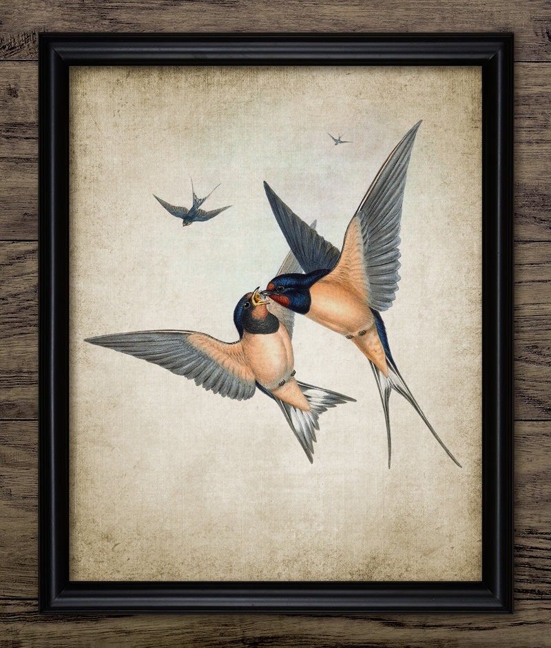 USA Vintage swallow canvas art キャンバスアート USA Vintage swallow canvas art キャンバスアート