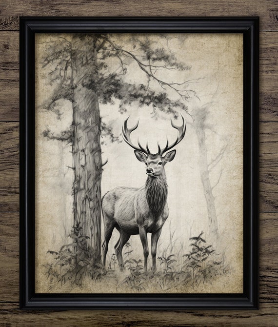 Red Deer Wall Art, Printable Deer, Woodland Deer, Buck, Stag, Hart, Deer  Antler, Deer Hunting, Scottish Highlands 4213 INSTANT DOWNLOAD - Etsy