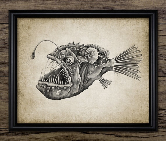 Anglerfish Print, Deep Ocean Marine Biology Illustration, Angler Fish  Sketch, Creepy Fish Wall Art, Single Print #3974 - INSTANT DOWNLOAD