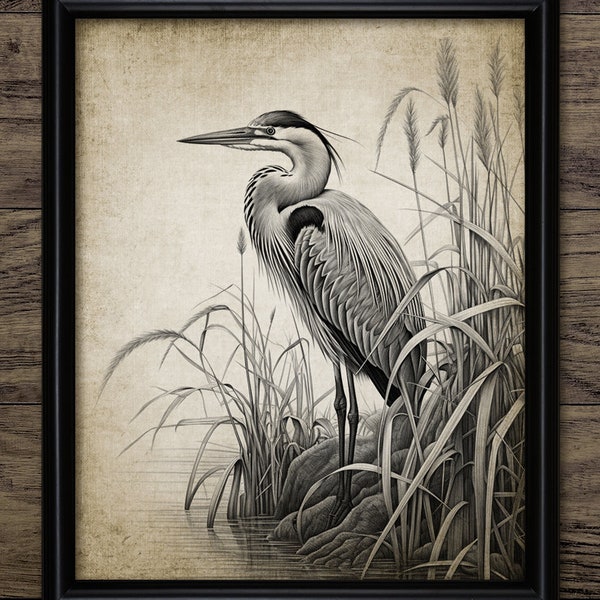 Heron Wall Art, Printable Heron, Heron In Reeds, Heron Bird Art, Freshwater Bird Watching Gift #4319 INSTANT DOWNLOAD