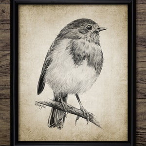 Robin Pencil Drawing, Printable Robin Drawing, Robin Bird Decor, Robin, Cute Robin Bird Wall Art, Christmas Robin #3999 INSTANT DOWNLOAD