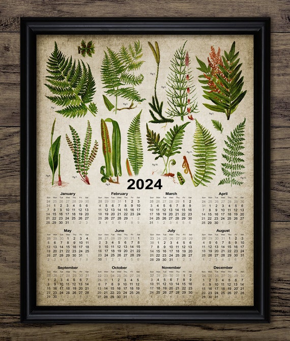 Calendrier 2024 fougère, fougère plante, fougère des bois, fougère  forestière, fougère botanique vintage, feuille verte, calendrier mural 2024  TÉLÉCHARGEMENT IMMÉDIAT -  France