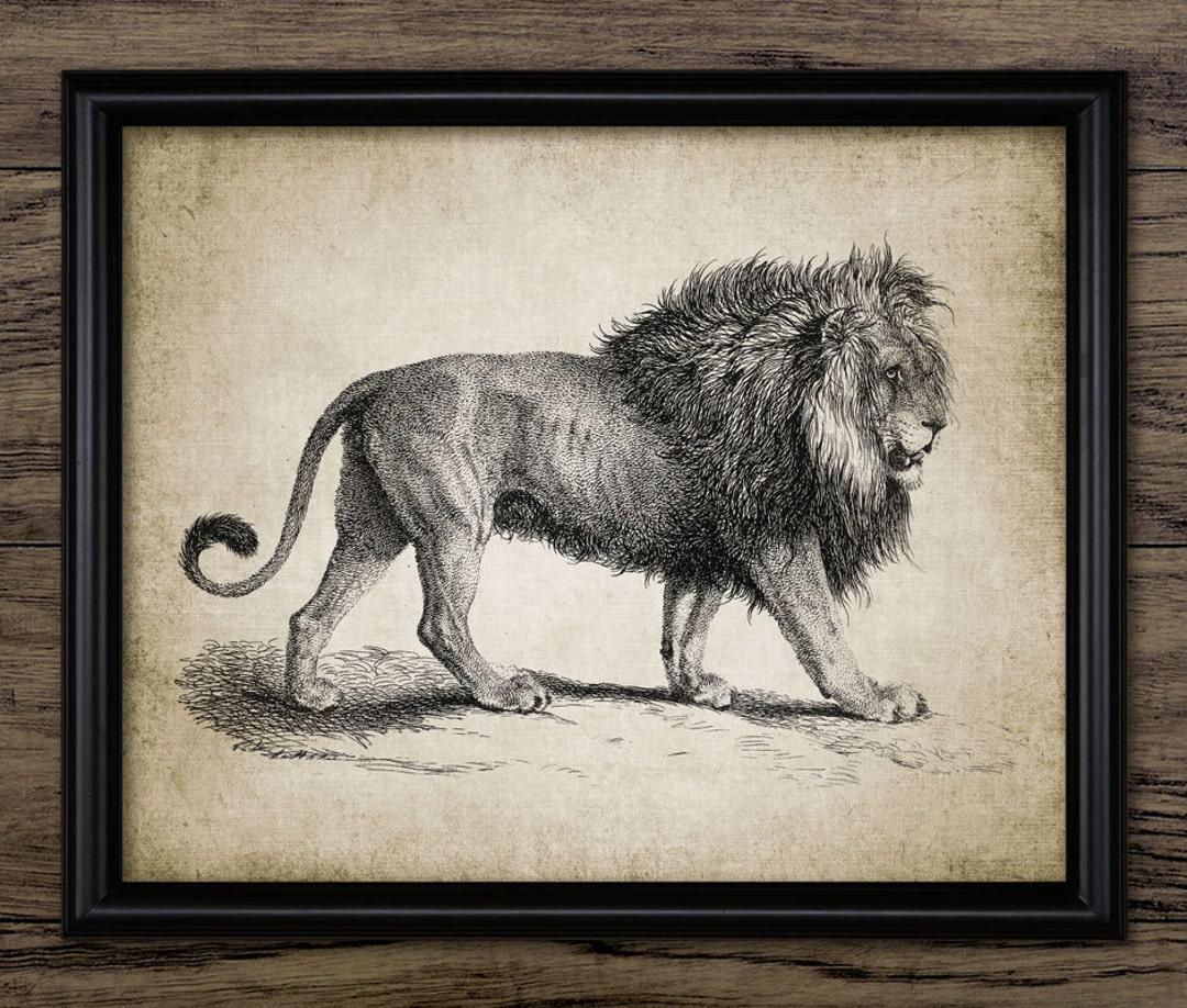 アフリカアート　ライオン【画家 サイン入り】(5) ベストフレンド」キャンバス地レプリカ（A2サイズ） | SHOGEN