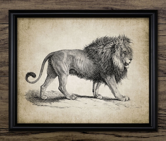 アフリカアート　ライオン【画家 サイン入り】(1) アフリカアート ライオン【画家 サイン入り】(1) 61F0FqviahL