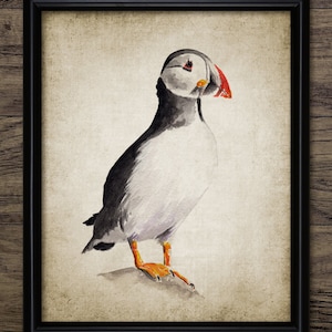 Puffin Watercolor Painting, Printable Puffin Painting, Puffin Bird Decor, Cute Puffin Seabird Art, Auk Bird Print #3569 INSTANT DOWNLOAD