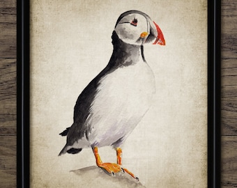 Puffin Watercolor Painting, Printable Puffin Painting, Puffin Bird Decor, Cute Puffin Seabird Art, Auk Bird Print #3569 INSTANT DOWNLOAD