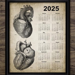 Anatomical Heart Calendar 2025, Printable Human Anatomy Wall Calendar, Medical Student Gift Dorm Decor Wall Calendar INSTANT DOWNLOAD