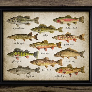 Fly Fishing Poster 