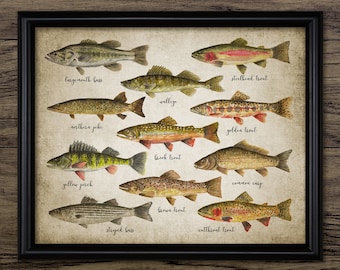 Fish Watercolour Art Painting, Printable Fish Painting, Angling, Fisherman, Trout, Bass, Pike, Fly Fishing Gift Idea #3815 INSTANT DOWNLOAD
