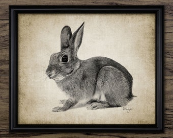 Dibujo de conejo a lápiz, dibujo de conejo imprimible, arte de pared de conejo, decoración de habitación de bebé de conejo lindo # 641 DESCARGA INSTANTÁNEA