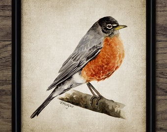 印刷可能なアメリカロビンの水彩画、ロビンの絵画、アメリカの鳥の装飾