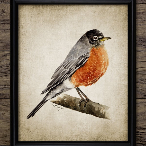 American Robin Watercolor Painting, Printable Robin, Bird Rustic Decor, Robin Bird Wall Art, Cute Garden Bird Print #3964 INSTANT DOWNLOAD