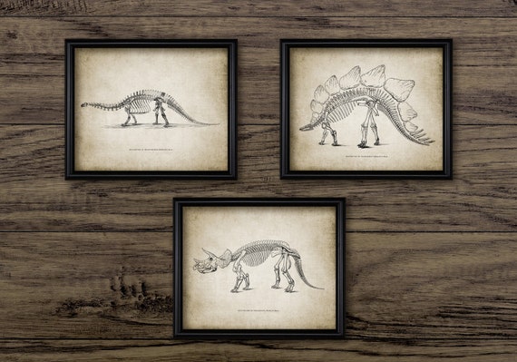 Brontosaurus Skeleton Diagram
