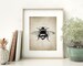 Bumble Bee Print - Bee Illustration - Bee Art - Bees - Entomology - Digital Art - Printable Art - Single Print #60 - INSTANT DOWNLOAD 