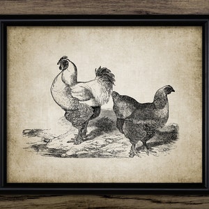 Chicken Wall Art, Printable Chickens, Farmyard Animal, Rooster, Chicken, Poultry Farming, Hen, Free Range Egg #2021 INSTANT DOWNLOAD