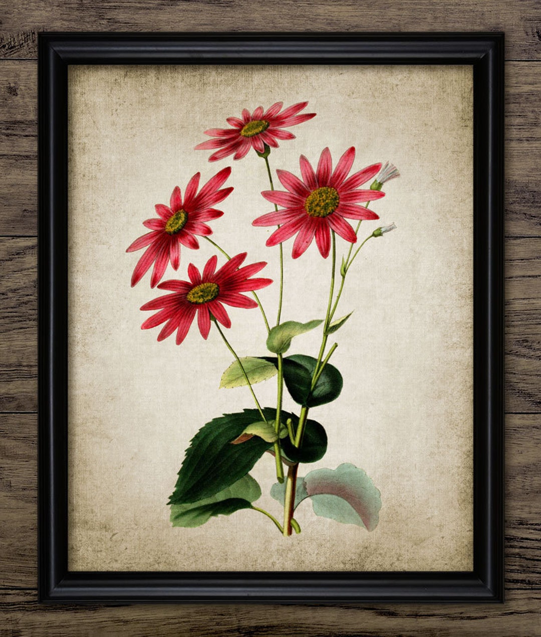 Red Flowers Print - Flower Illustration - Red Flower Decor - Botanical ...