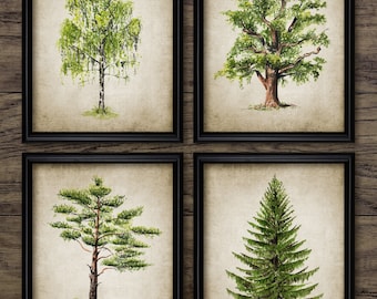 Tree Watercolor Painting Set Of 4, Printable Tree, Tree Living Room, Spruce, Oak, Birch, Japanese Pine, Botanical Art #3808 INSTANT DOWNLOAD