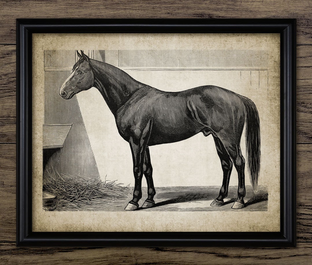 Horse Wall Art, Printable Horse Art, Equestrian, Equine, Horse Rider ...