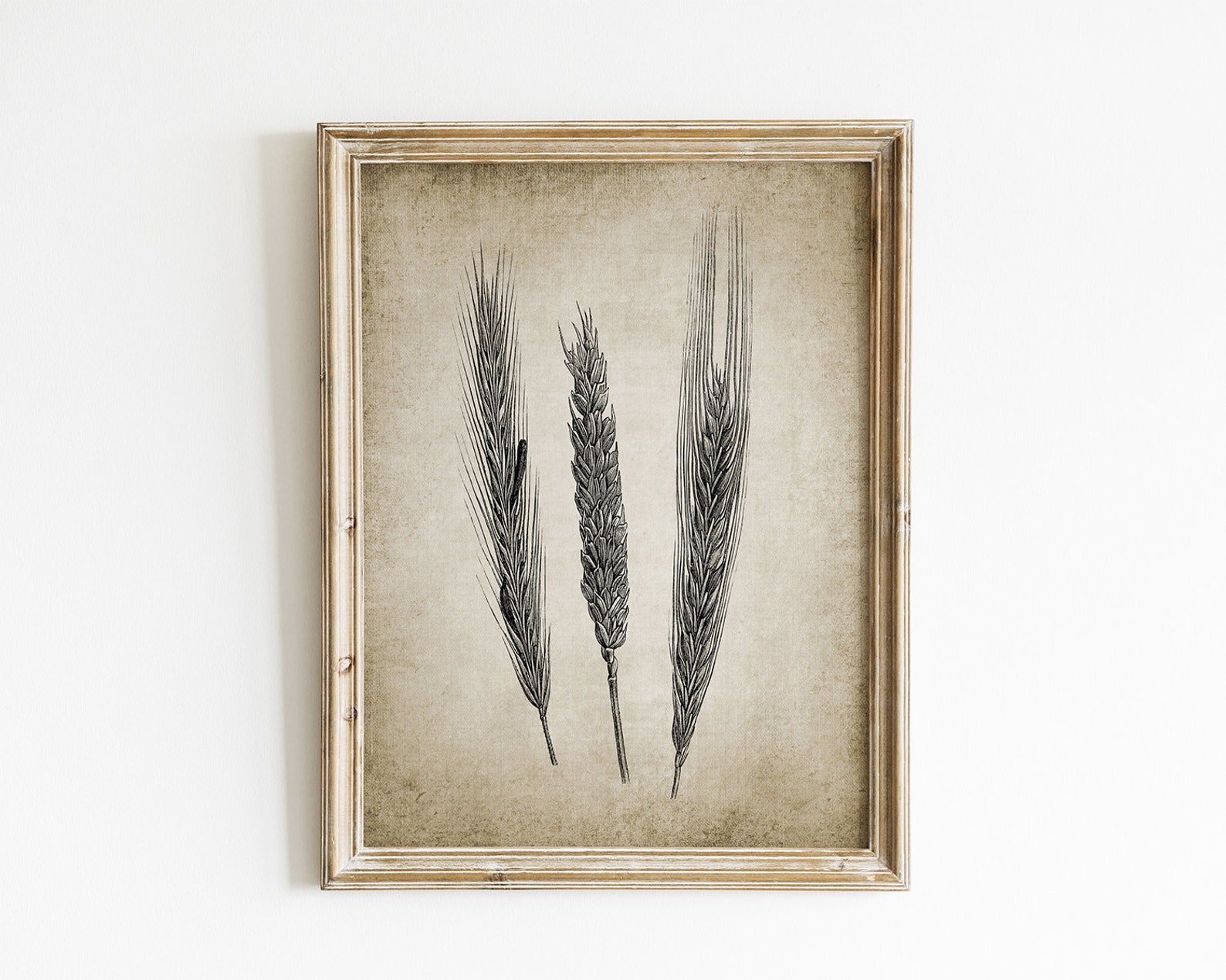 Wheat Wall Art Printable Wheat Illustration Wheat Cereal Etsy wheat-wall-art-printable-wheat-illustration-wheat-cereal-etsy