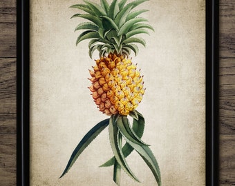 Vintage Pineapple Wall Art, Printable Pineapple, Colourful Pineapple Fruit, Tropical Fruit Art  #268 INSTANT DOWNLOAD