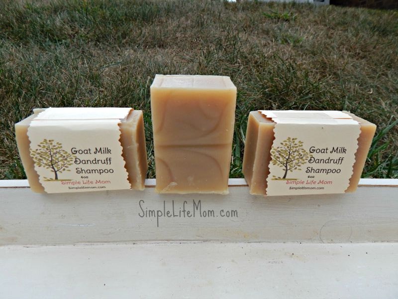 GOAT MILK SHAMPOO Bar All Natural Handmade Hand Crafted Etsy