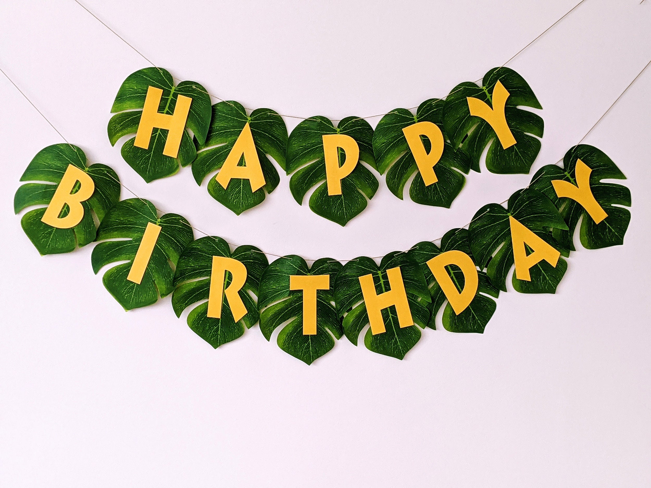 Sage Green Fringe Curtain Backdrop, Light Green Tinsel Streamers, Pale  Green Party Decorations for Tropical Jungle Safari Animals Wild One  Birthday