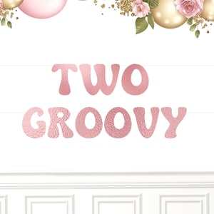Two Groovy 2nd Birthday Party Banner for Girls Birthday Decoration