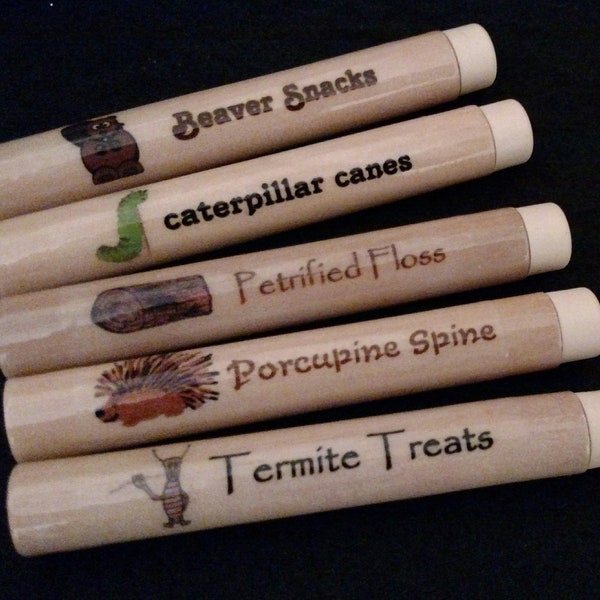 CUTE & CLEVER Travel Toothpick Holders! STUBES for pocket, purse, luggage, glovebox (Termite Treats, Petrified Floss, Cacti Appendi...)