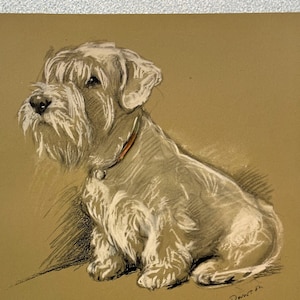 Lucy Dawson SEALYHAM TERRIER &quot;Bundle&quot; 1946 Vintage Dog Print