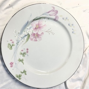 Studio Nova by Mikasa PINK VISTA Dinner Plate Set of 2