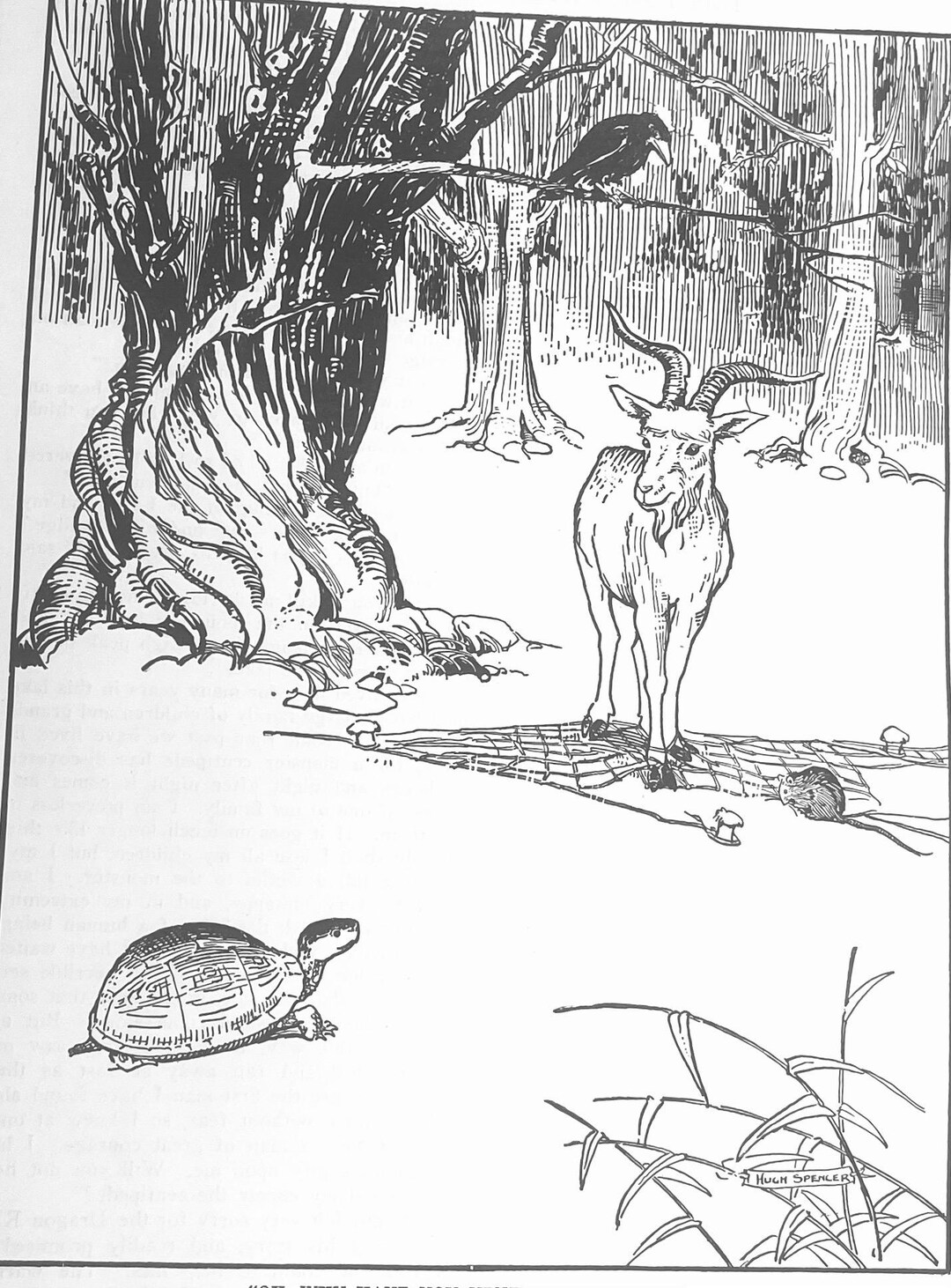 1927 Fairy Tale Lithograph Print: Goat, Turtle, Crow Art by Hugh ...