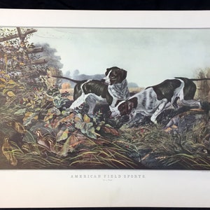 CURRIER & IVES 1857 American Field Sports &quot;On a Point&quot;  Vintage Art Lithograph Print Dogs Hunting Quail