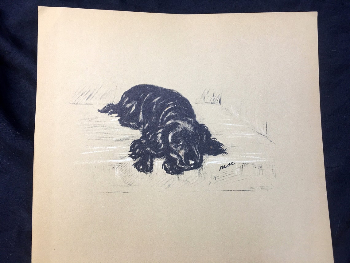 Lucy Dawson 1937 Black COCKER SPANIEL Art Print Lithograph - Etsy
