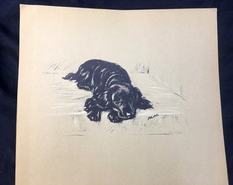 Lucy Dawson 1937 Black COCKER SPANIEL Art Print Lithograph