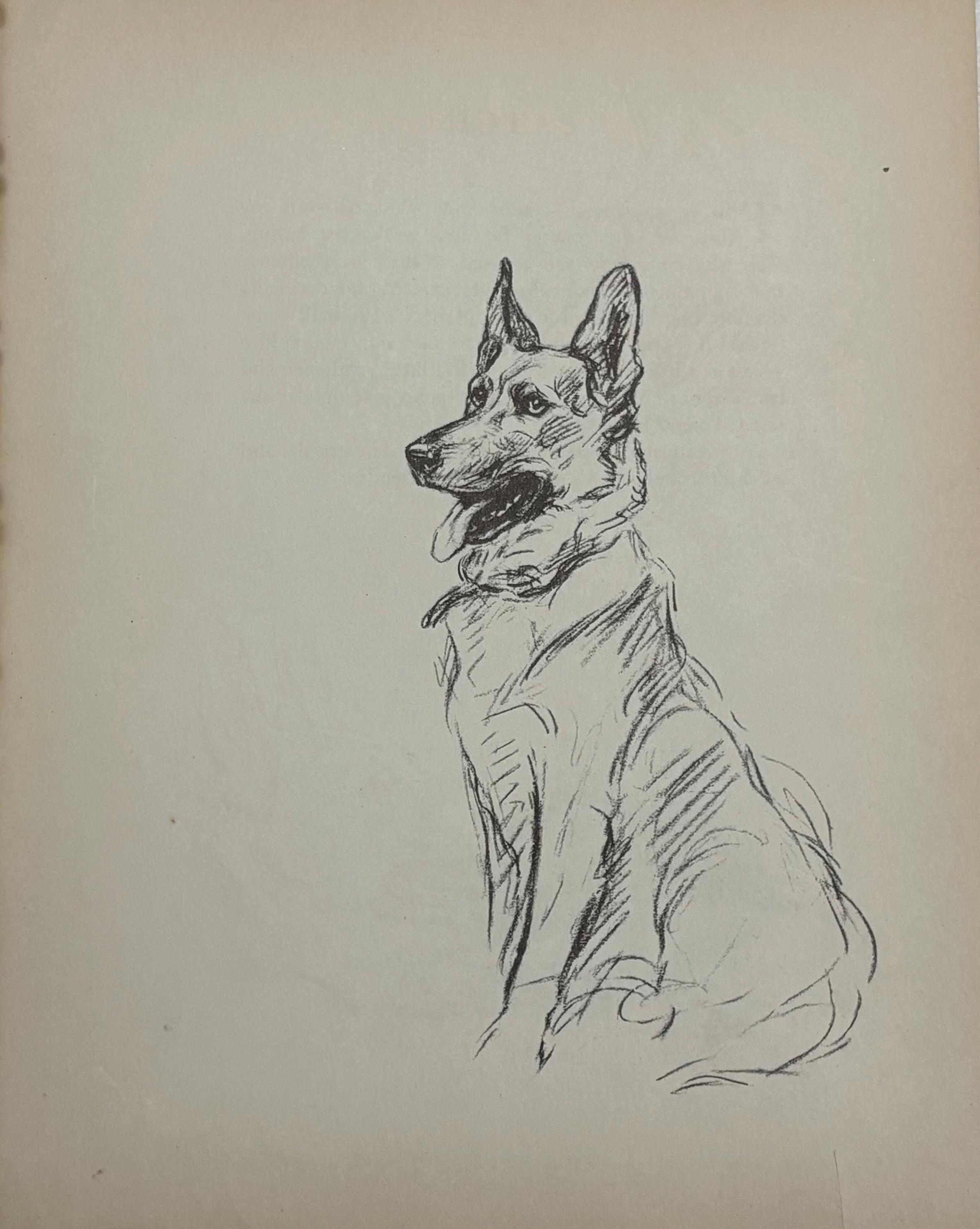 ジャーマン・シェパード・ドッグの絵画版画 ルーシー・ドーソン アート