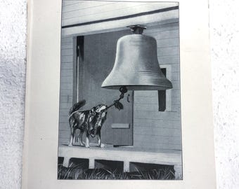 Collie of the Fog Bell Art DOG print 1907