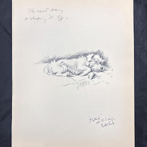 Sealyham Terrier Print 1937 Lucy Dawson Illustration Patch Sleeping