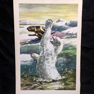 Bob Hines Wildlife Art Print 1946 Polar Bear & Seal Antique Lithograph Free US Shipping