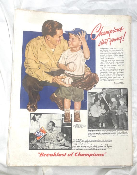 Saturday Evening Post Magazine September 17 1949 Dog Pound Amos