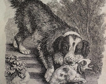 1818 Antique engraving NEWFOUNDLAND DOG'S SAGACITY Samuel Howitt (1756–1822)