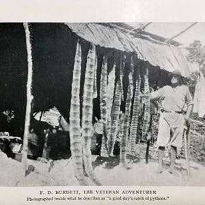 FD Burdett Adventurer Python Hunter Antique Lithograph - 1933 Book Plate