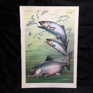Bob Hines Wildlife Art Print Fish  1946 Chinook and Silver Salmon Antique Lithograph Free US Shipping