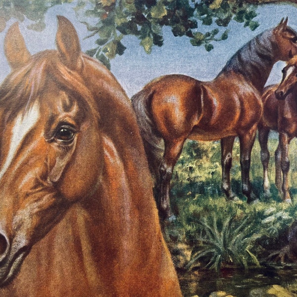Morgan Horse by Edward Miner 1923 Antique Illustration Art Print