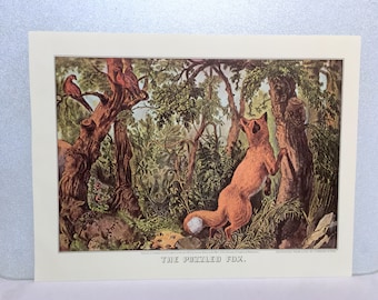 Currier & Ives 1872  THE PUZZLED FOX Hidden Images Children Art Vintage Print